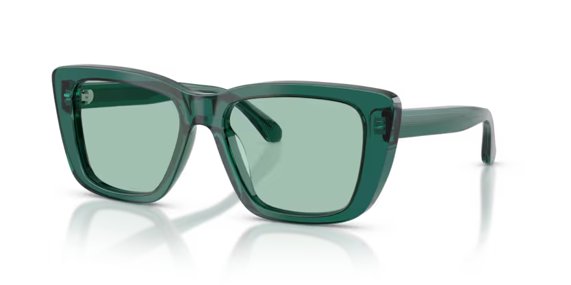 Sunglasses EMPORIO ARMANI EA4246U 6252/2