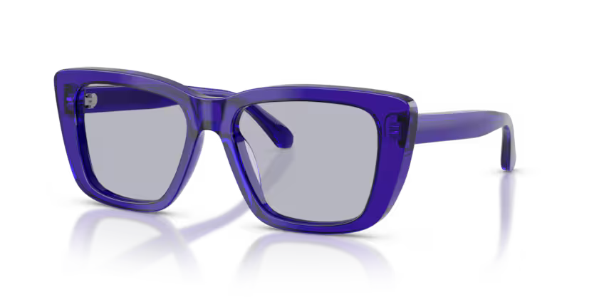 Sunglasses EMPORIO ARMANI EA4246U 6253/1