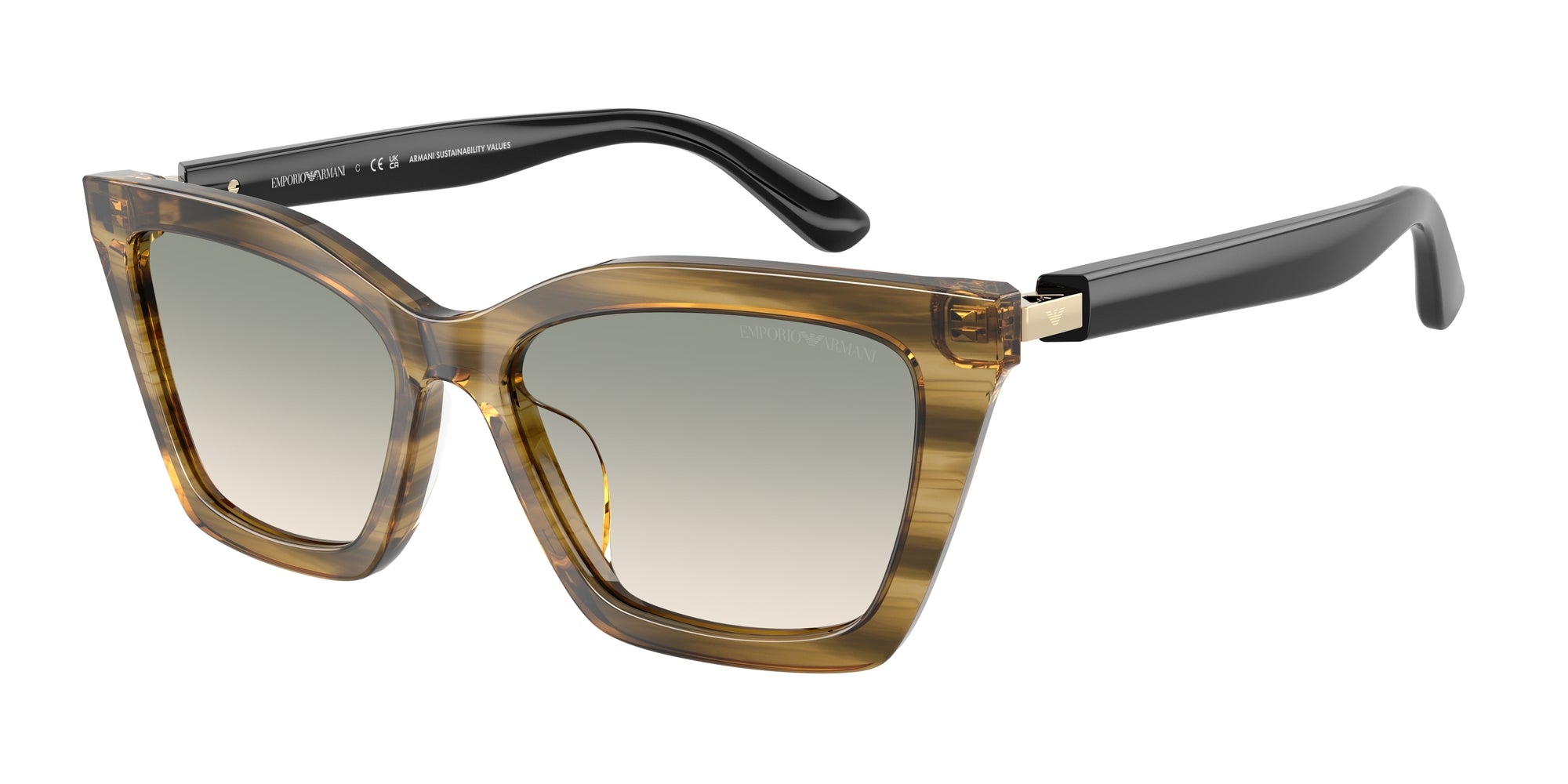 Zonnebrillen EMPORIO ARMANI EA4250U 62672C