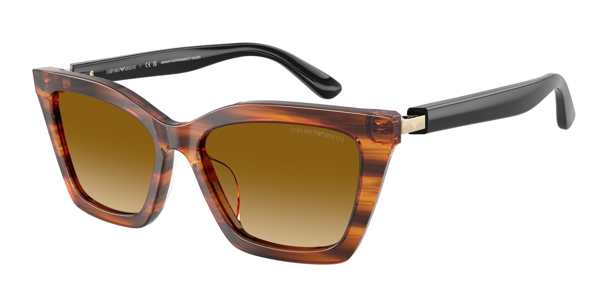 Occhiali da sole EMPORIO ARMANI EA4250U 62682L