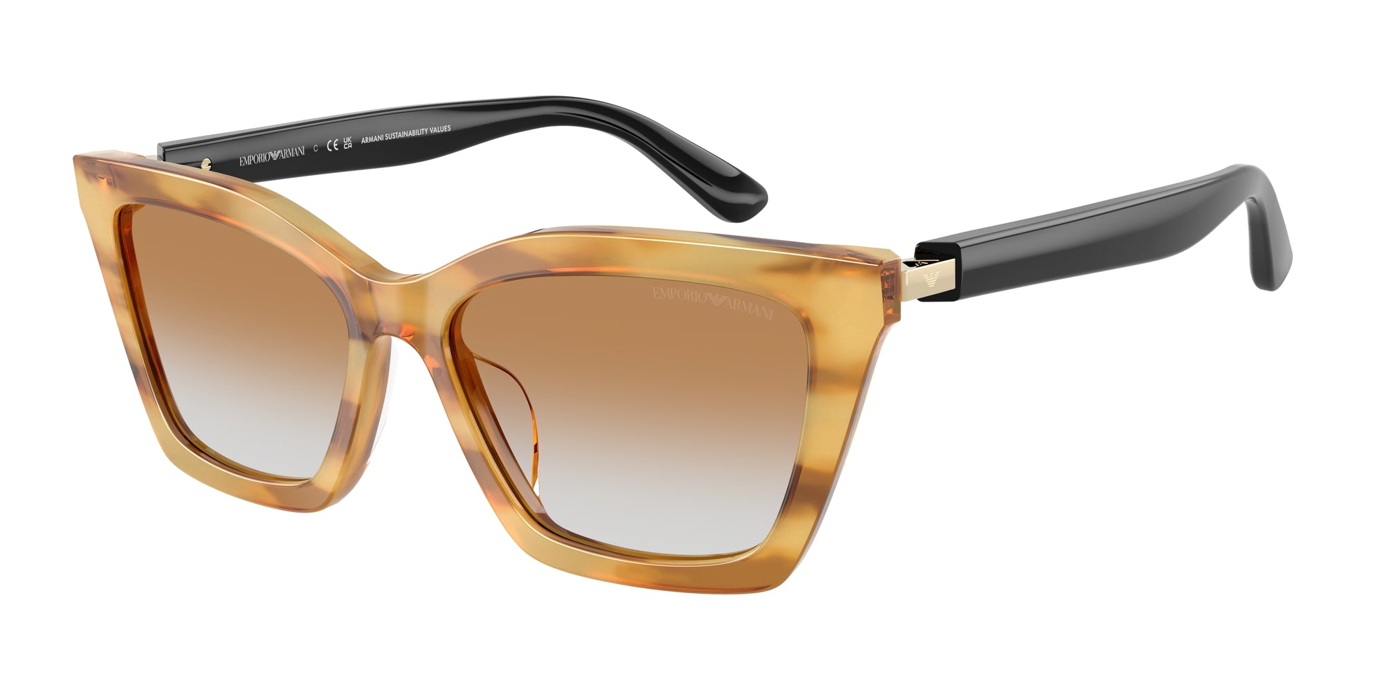 Sunglasses EMPORIO ARMANI EA4250U 62692Q