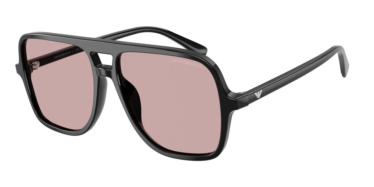 Gafas de sol Emporio Armani EA4252U 501773