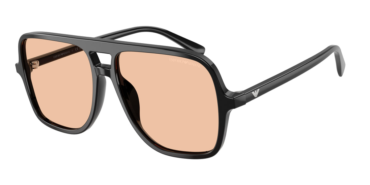Gafas de sol Emporio Armani EA4252U 501793