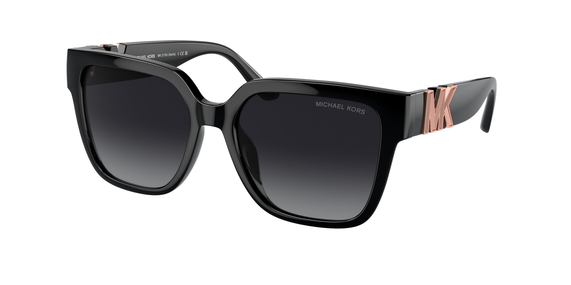 Sunglasses MICHAEL KORS MK2170U 3005T3
