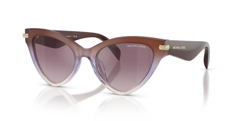 Sunglasses MICHAEL KORS MK2259U 40366X