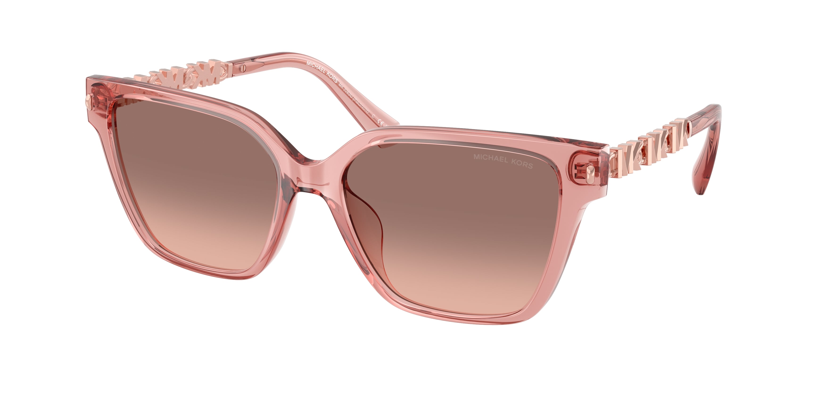 Gafas de sol MICHAEL KORS MK2263U 310113