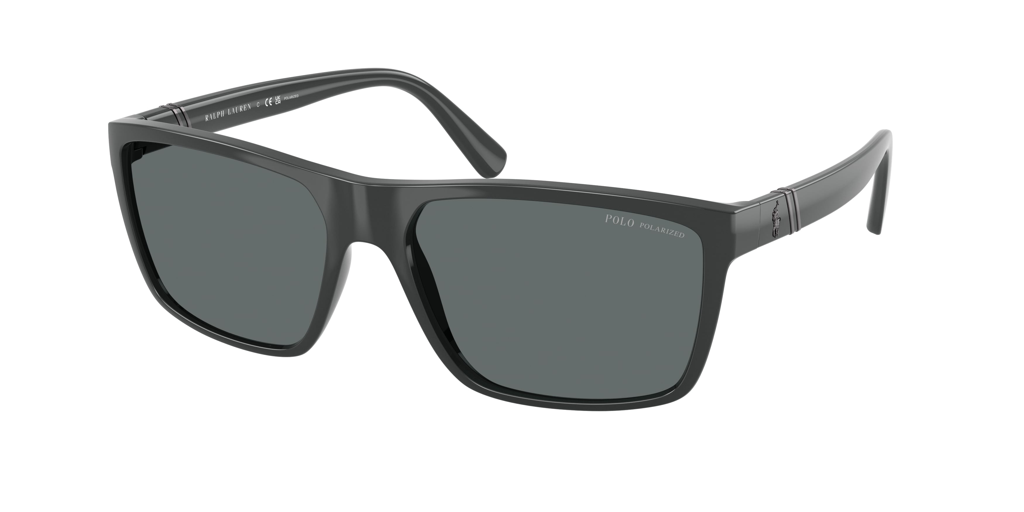 Sunglasses Polo Ralph Lauren PH4133 528481