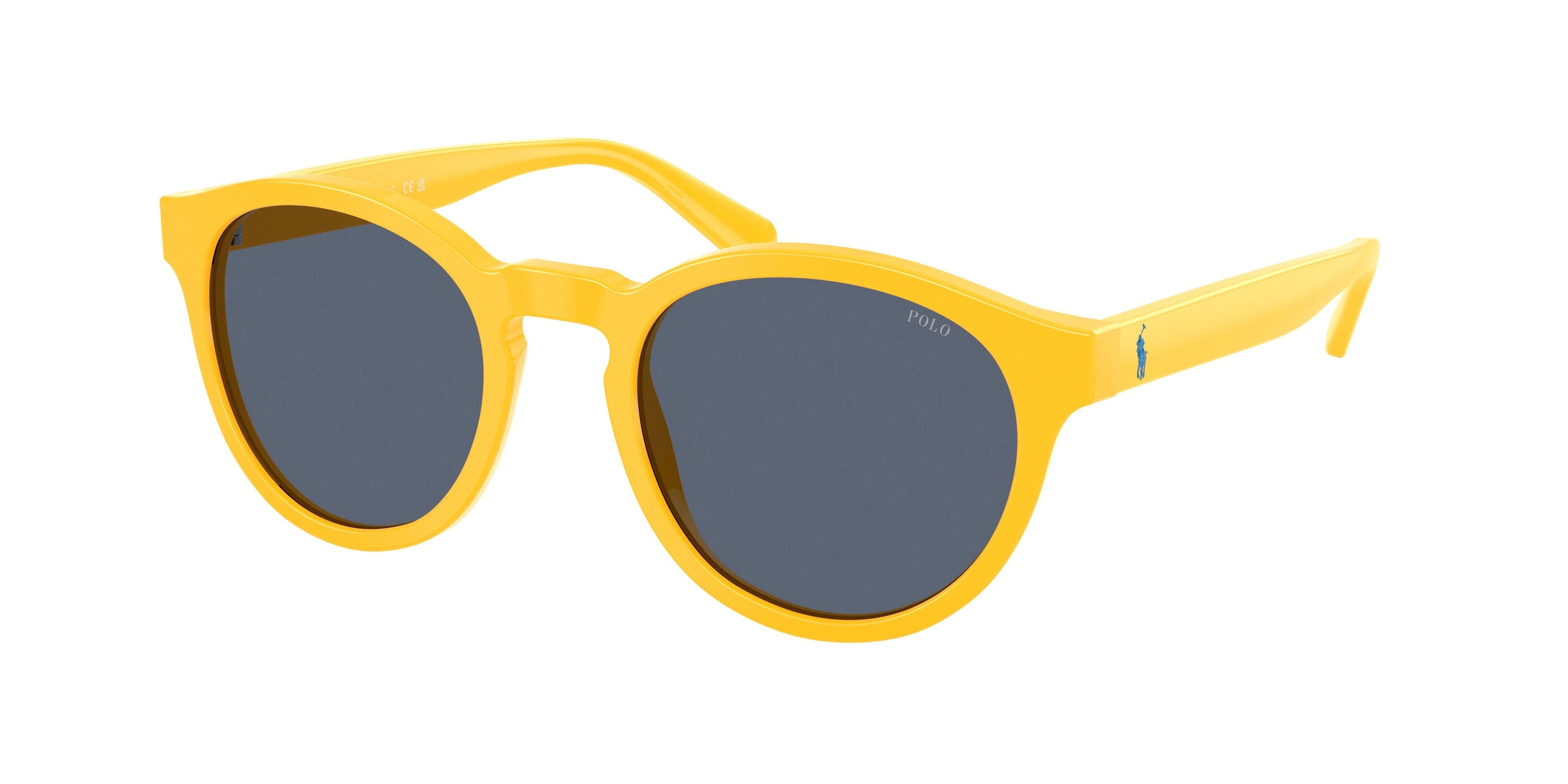 Sunglasses Polo Ralph Lauren PH4192 541387