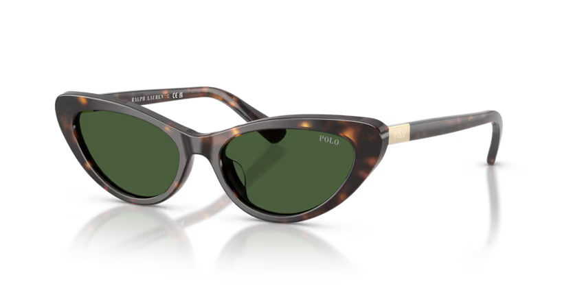 Sunglasses Polo Ralph Lauren PH4199U 500371
