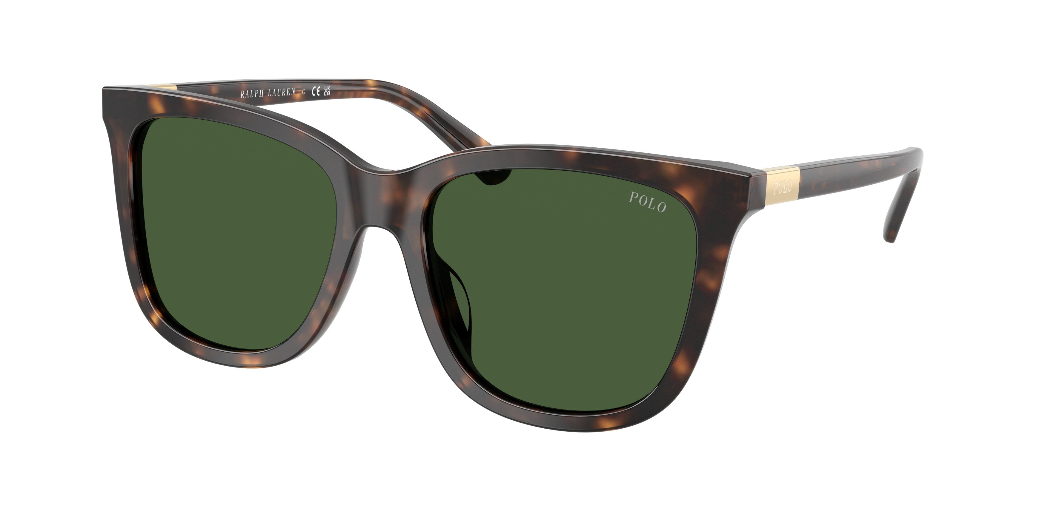 Sunglasses Polo Ralph Lauren PH4201U 500187