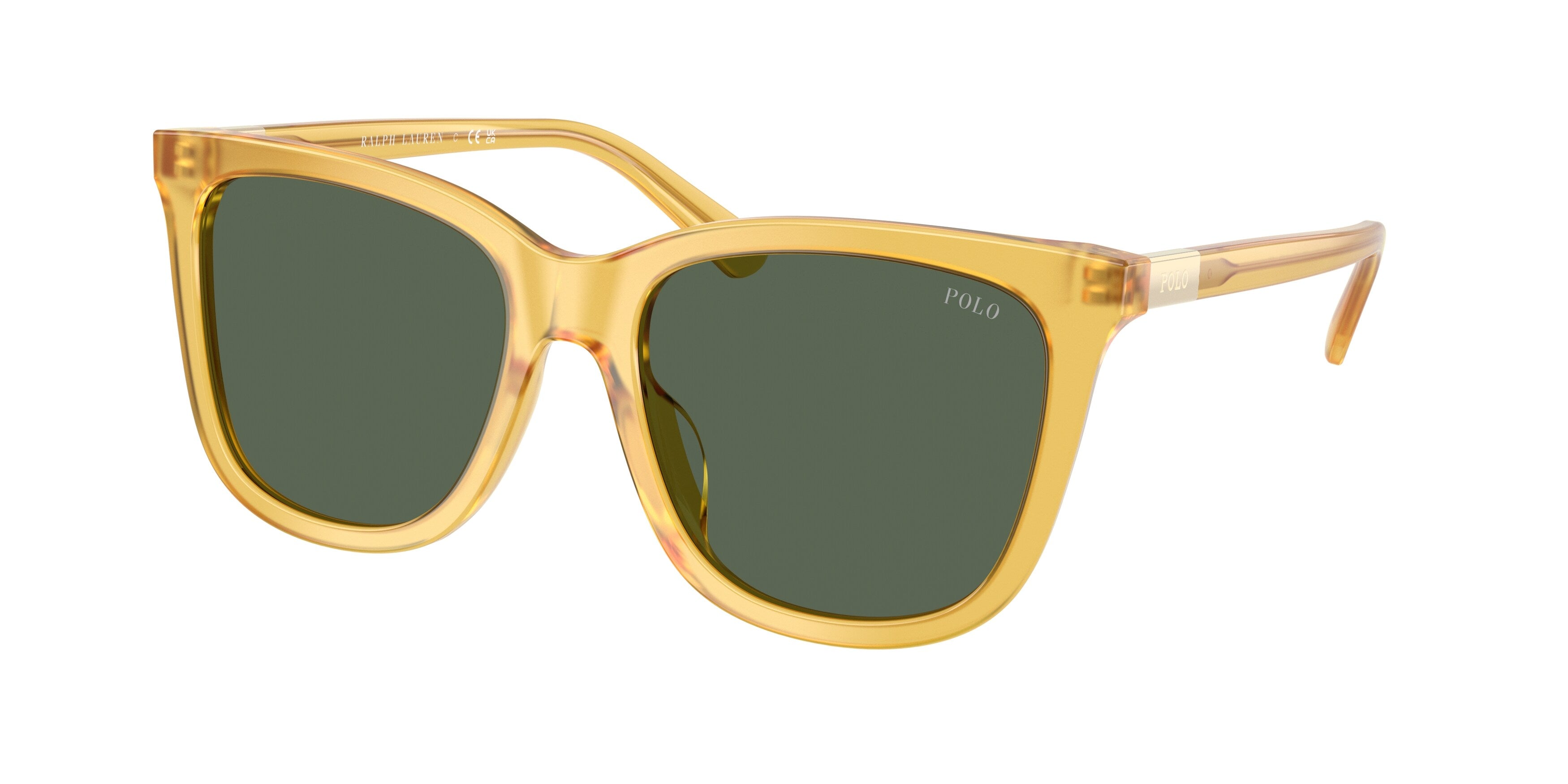 Sunglasses Polo Ralph Lauren PH4201U 500380