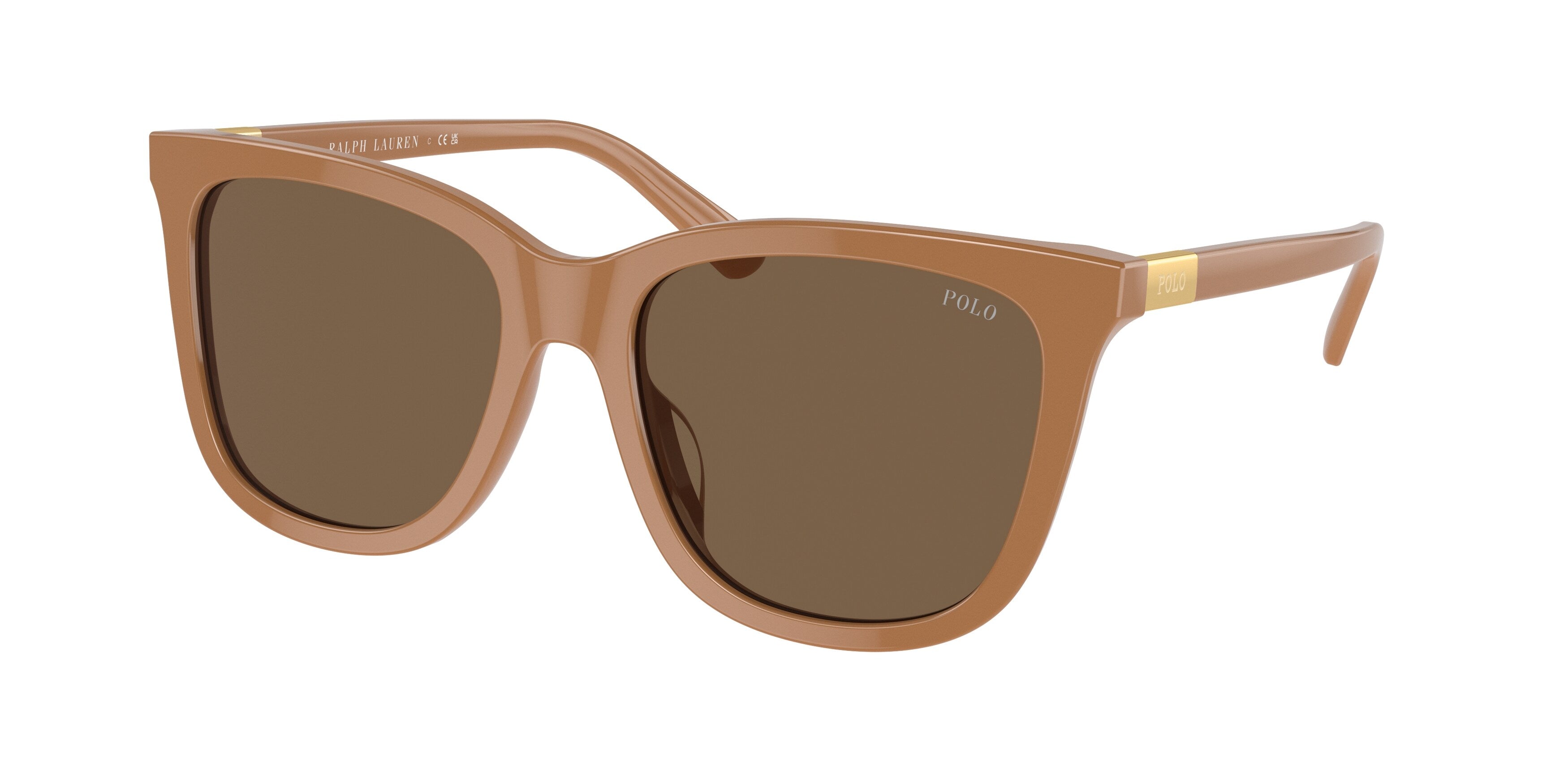 Lunettes de soleil Polo Ralph Lauren PH4201U 607972