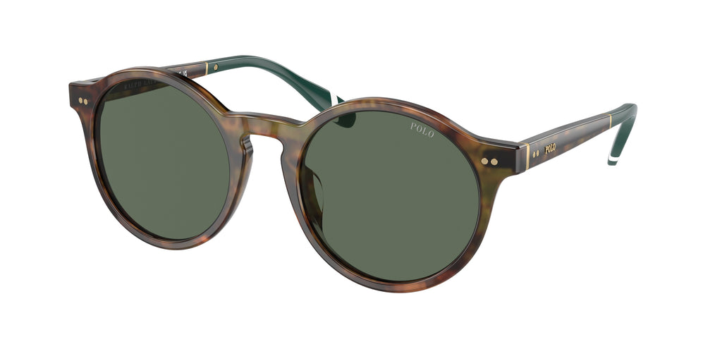 Sunglasses Polo Ralph Lauren PH4204U 500471