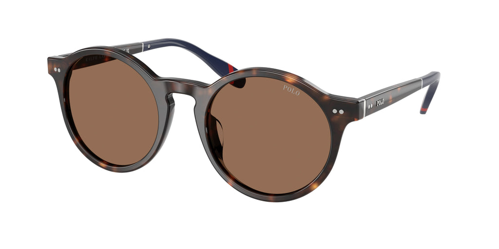 Gafas de sol Polo Ralph Lauren PH4204U 567373