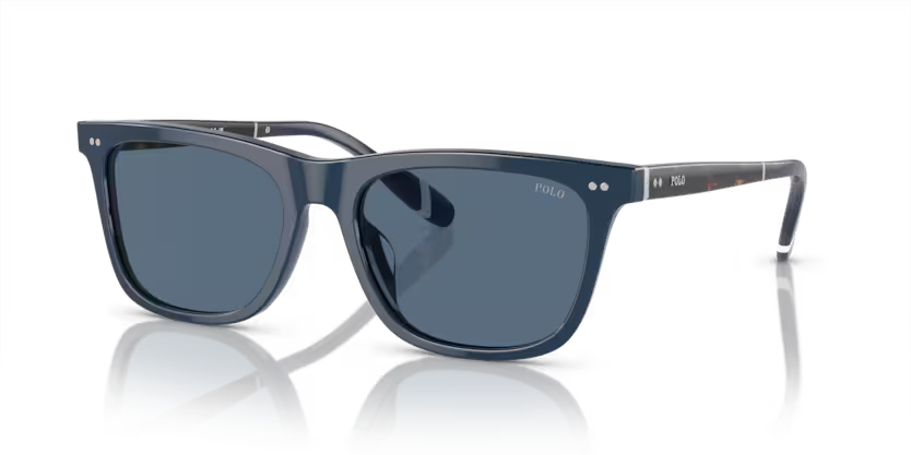 Sunglasses Polo Ralph Lauren PH4205U 546580