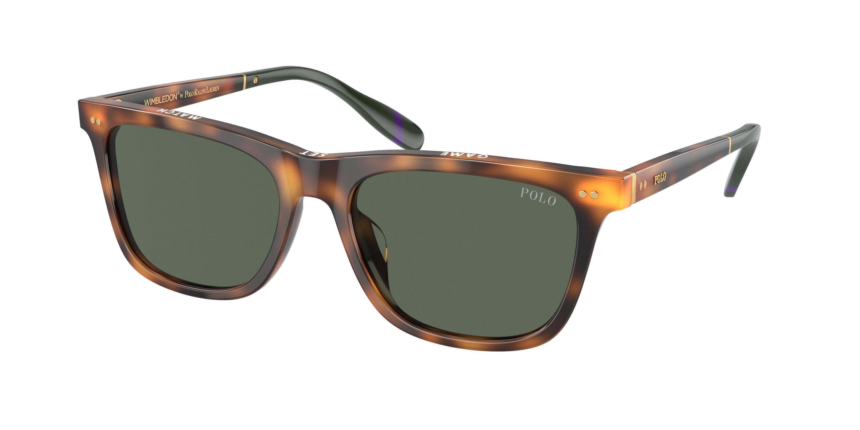Sunglasses Polo Ralph Lauren PH4205U 6089/2