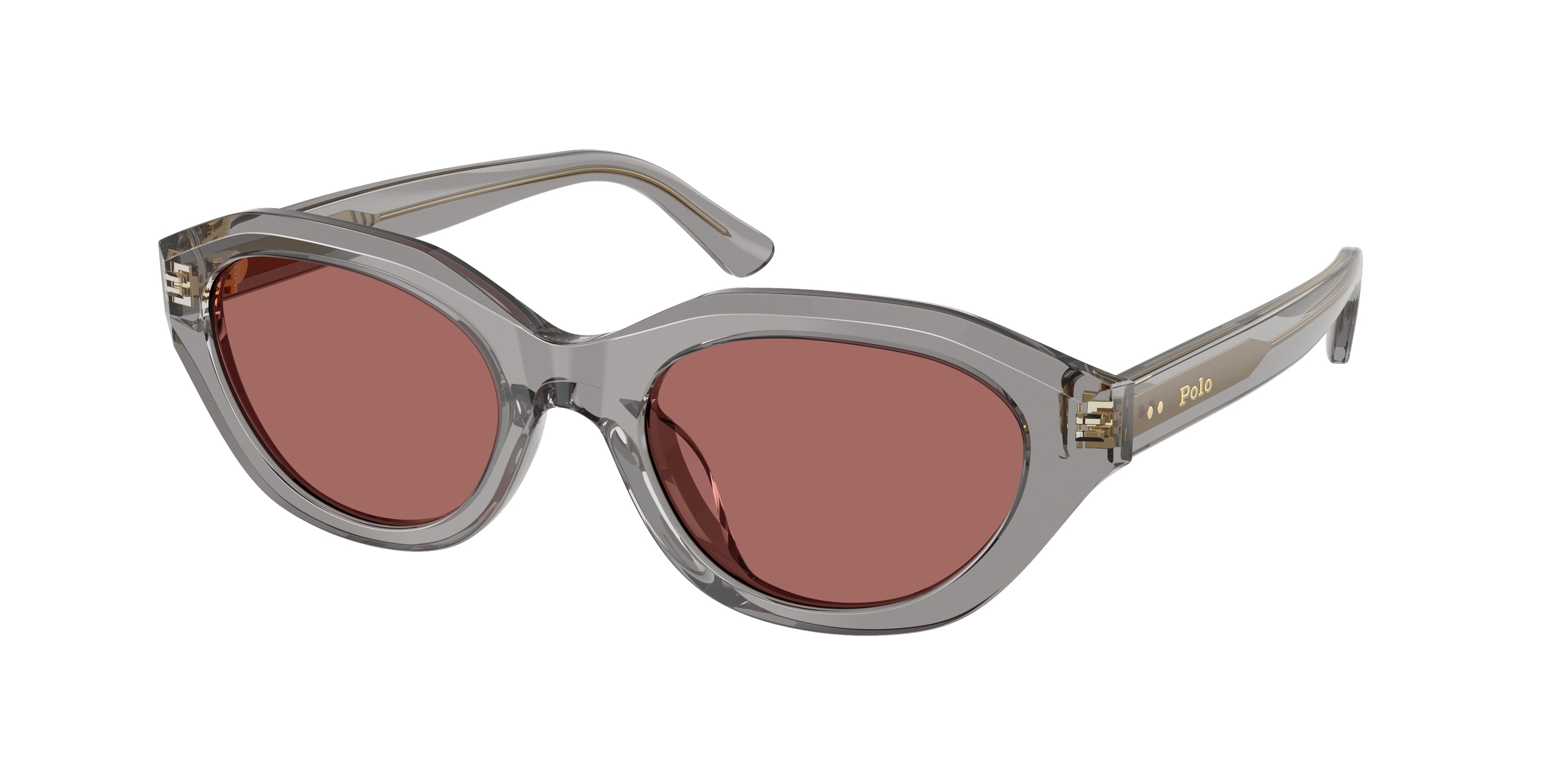 Gafas de sol Polo Ralph Lauren PH4237U 631869