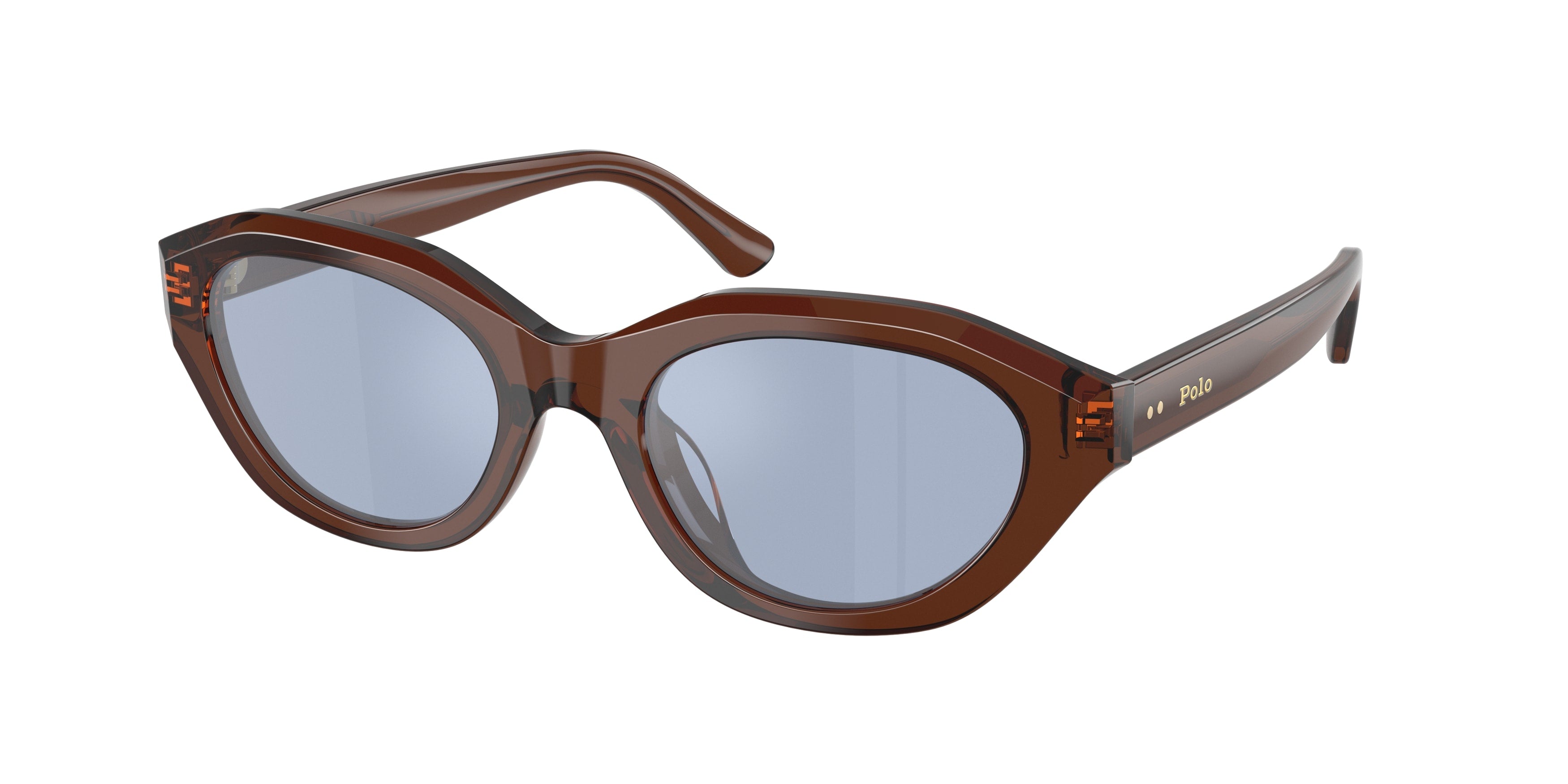 Gafas de sol Polo Ralph Lauren PH4237U 63531U
