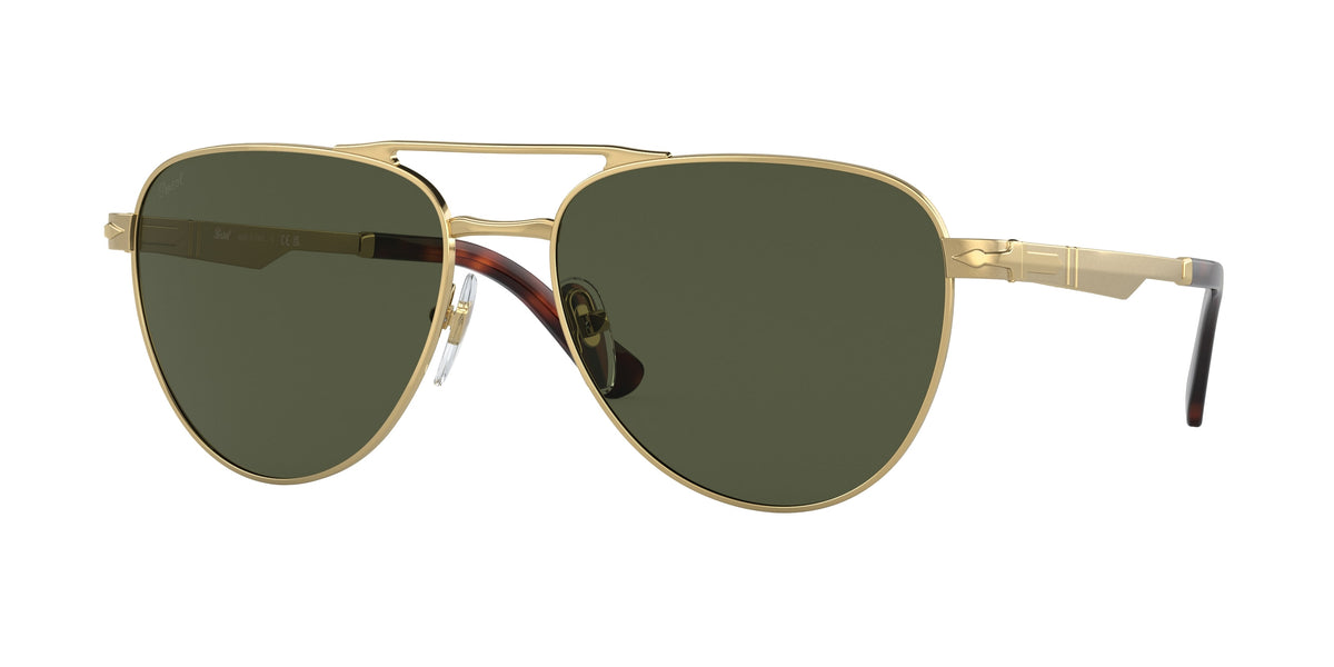 Gafas de sol Persol PO1003S 515/31