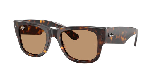 Ray Ban RB0840S 902/53