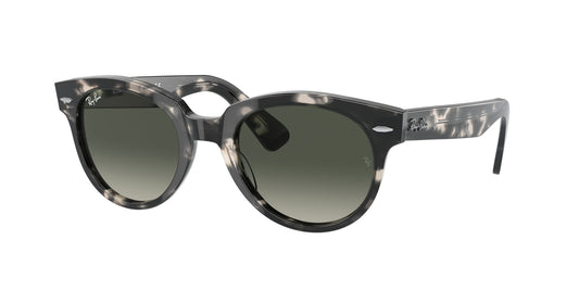 Ray Ban RB2199 133371