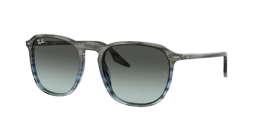Ray Ban RB2203 1391GK