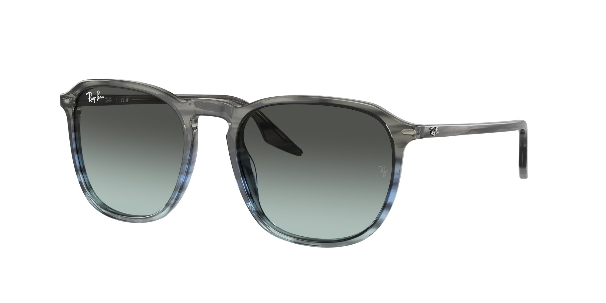 Ray Ban RB2203 1391GK