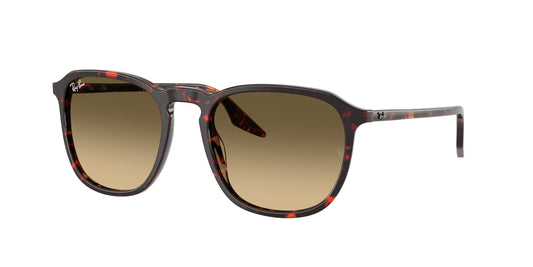 Ray Ban RB2203 14290A