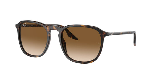 Ray Ban RB2203 902/51