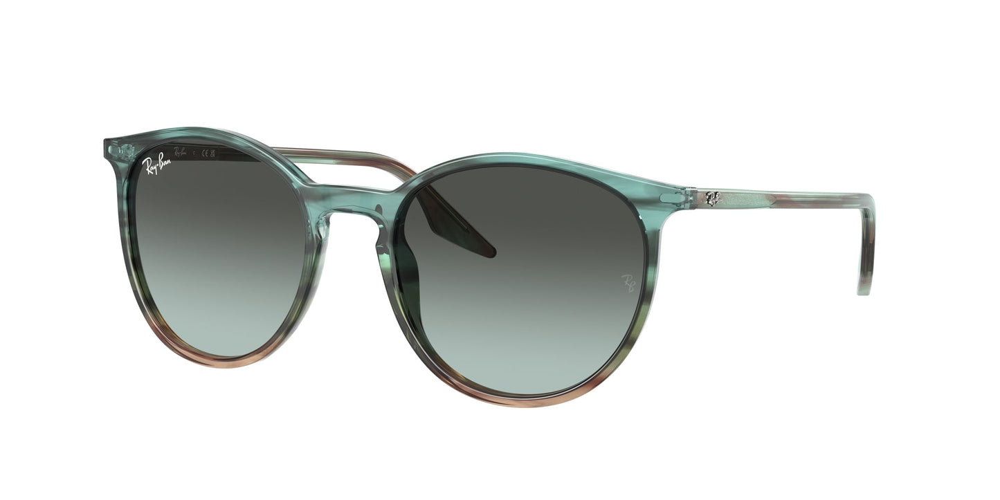 Ray Ban RB2204 1394GK