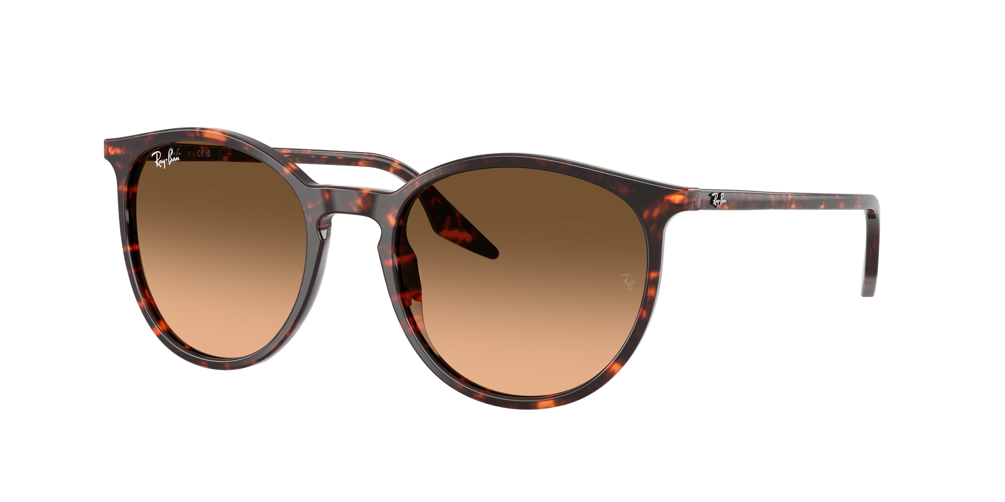 Ray Ban RB2204 14293B