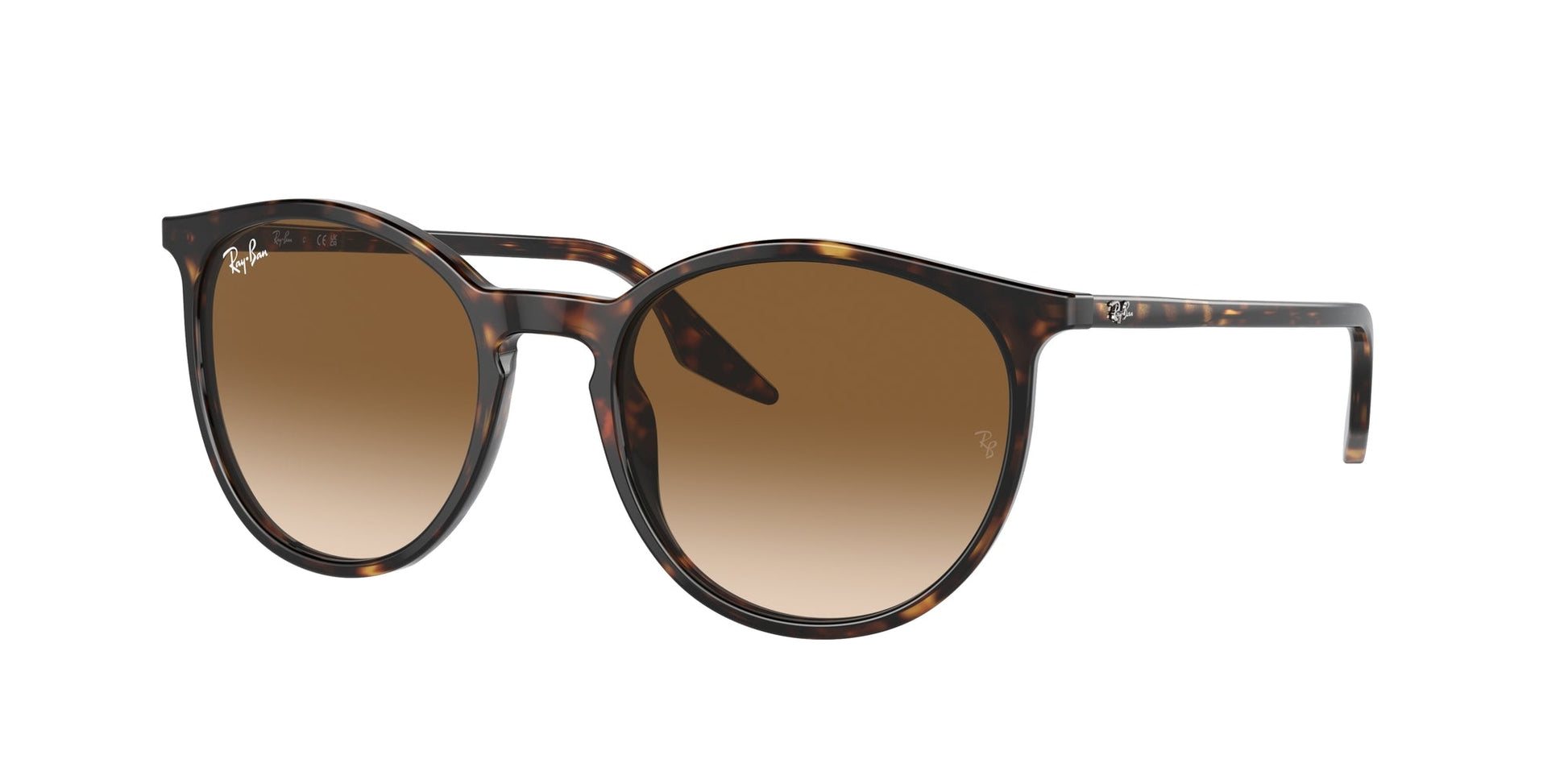 Ray Ban RB2204 902/51