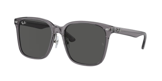 Ray Ban RB2206D 139987