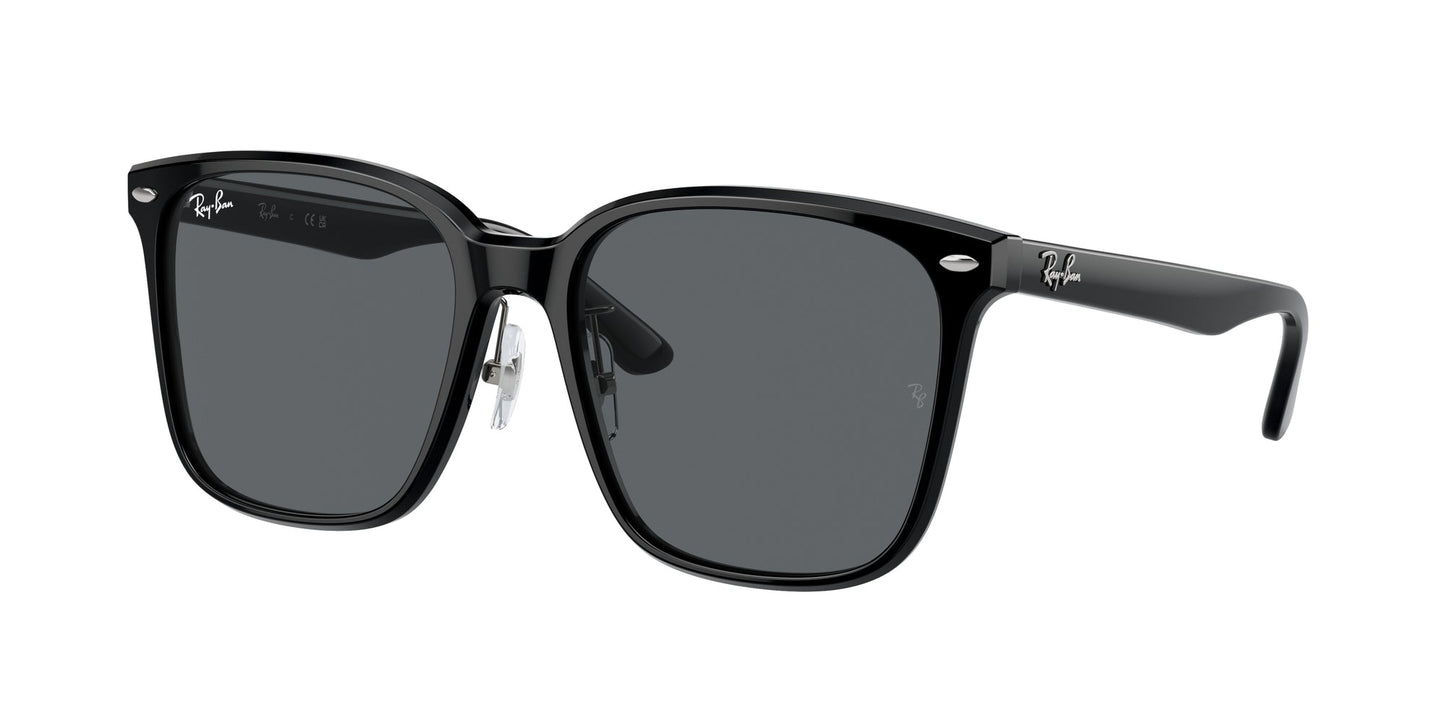 Ray Ban RB2206D 901/87