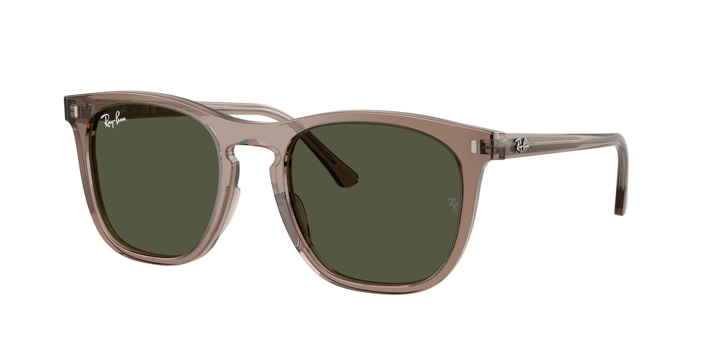Ray Ban RB2210 845731