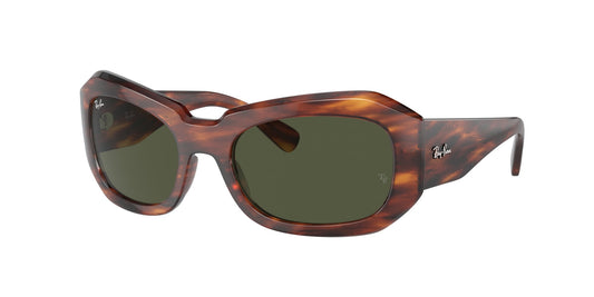 Ray Ban RB2212 954/31