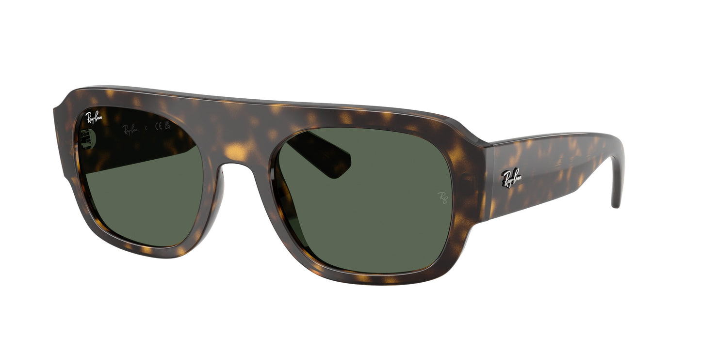Ray Ban RB2218 679071