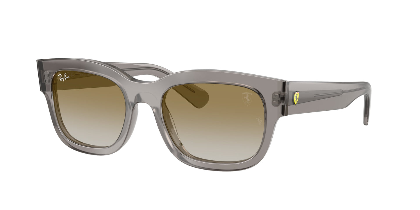 Ray Ban RB2228M F7046E