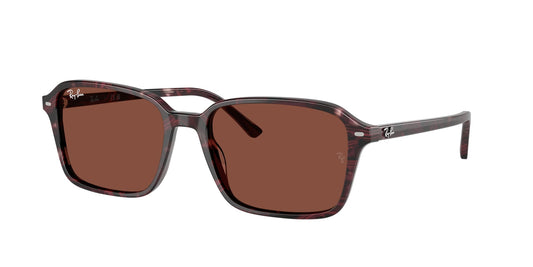 Ray Ban RB2231 1416C5