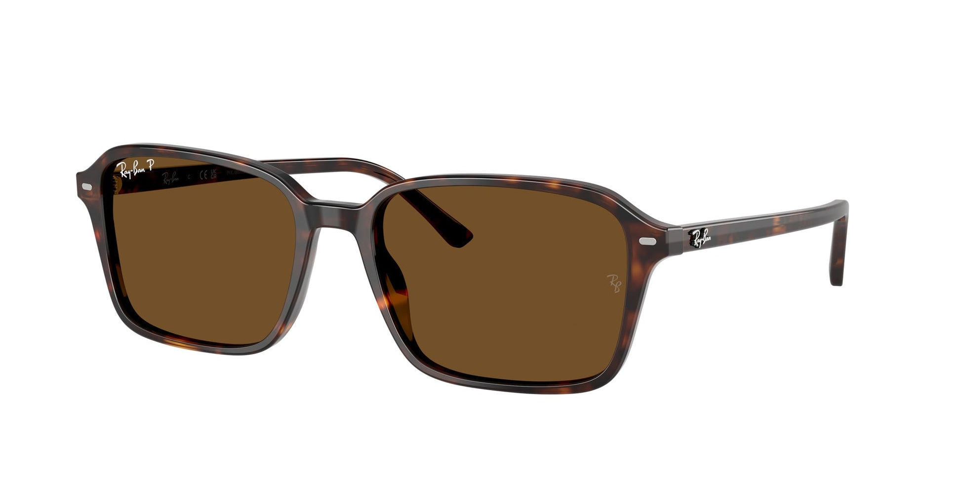 Ray Ban RB2231 902/57