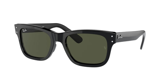 Ray Ban RB2283 901/31