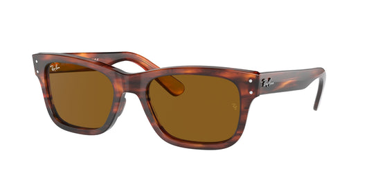 Ray Ban RB2283 954/33