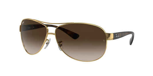 Ray Ban RB3386 001/13