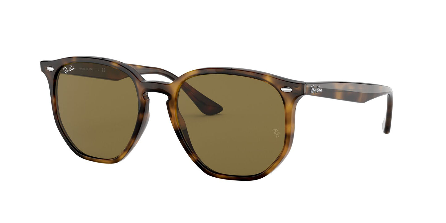 Ray Ban RB4306 710/73