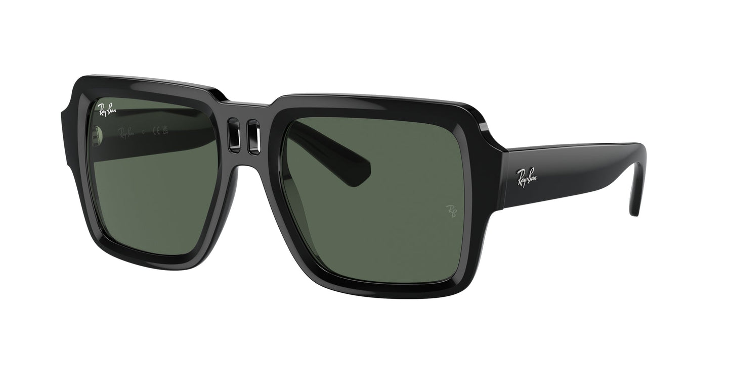 Ray Ban RB4408 667771