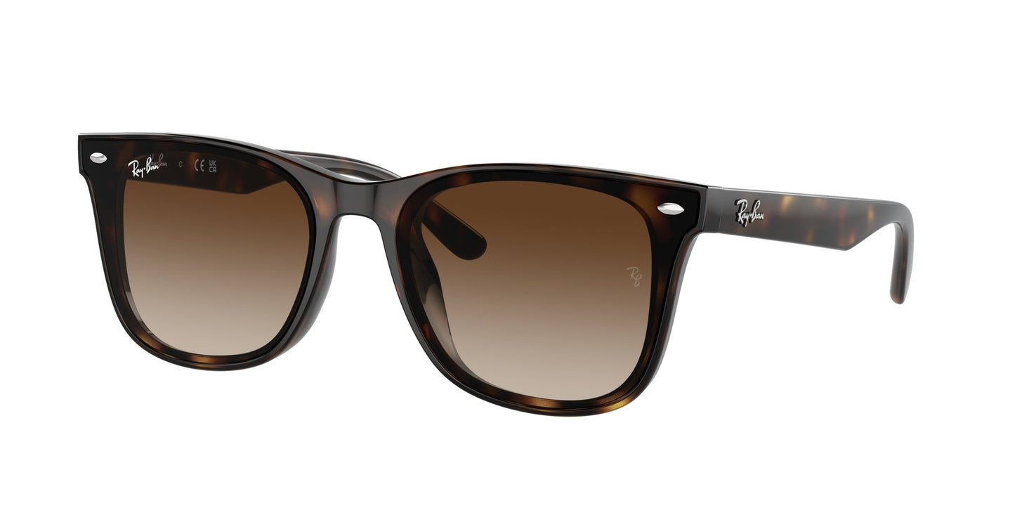 Ray Ban RB4420 710/13