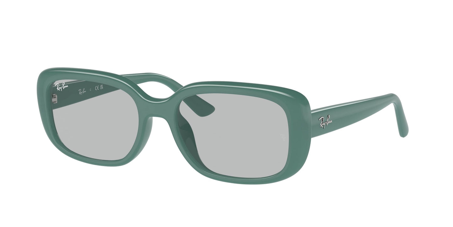 Ray Ban RB4421D 676287