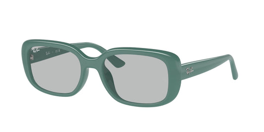 Ray Ban RB4421D 676287