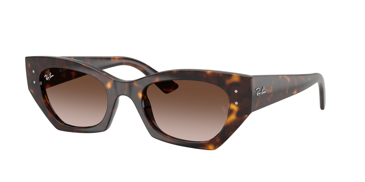 Ray Ban RB4430 135913