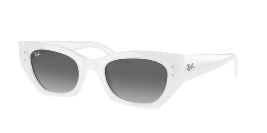 Ray Ban RB4430 675911